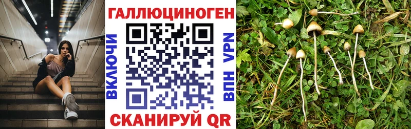 Галлюциногенные грибы мухоморы  Купить где  Похвистнево 